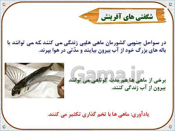 پاورپوینت علوم تجربی سوم دبستان | درس 12: هر کدام جای خود (1)- پیش نمایش