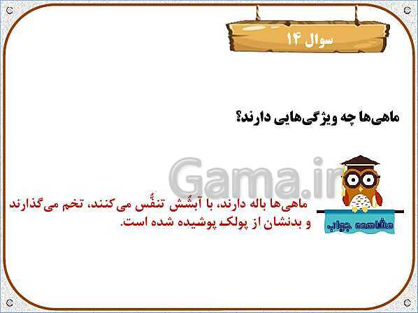 پاورپوینت علوم تجربی سوم دبستان | درس 12: هر کدام جای خود (1)- پیش نمایش