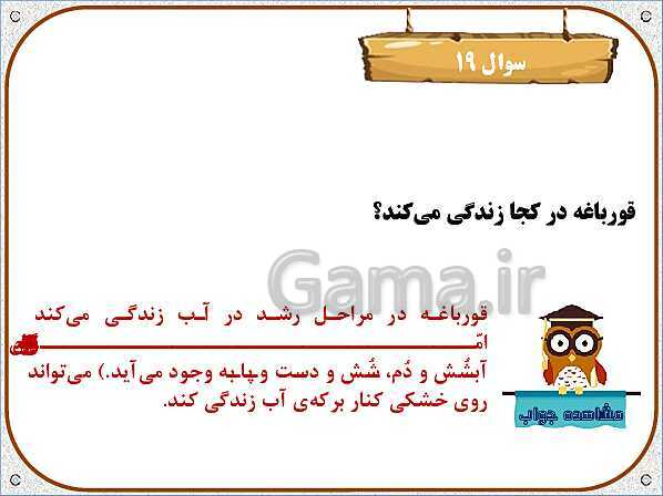 پاورپوینت علوم تجربی سوم دبستان | درس 12: هر کدام جای خود (1)- پیش نمایش