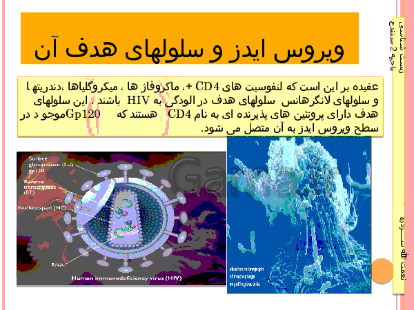 پاورپوینت مکانیسم عمل در چرخه آلودگی به ویروس ایدز و تلاش هایی برای درمان  ایدز    - پیش نمایش