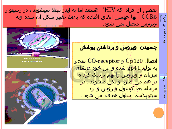 پاورپوینت مکانیسم عمل در چرخه آلودگی به ویروس ایدز و تلاش هایی برای درمان  ایدز    - پیش نمایش