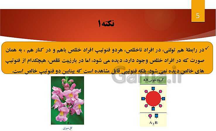 پاورپوینت انواع رابطه بین الل های یک ژن- پیش نمایش