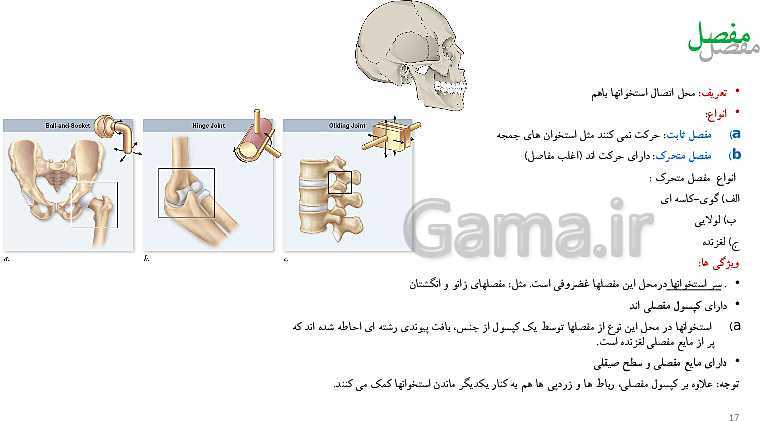 پاورپوینت زیست شناسی (2) یازدهم رشته تجربی  | فصل سوم- دستگاه حرکتی (گفتار 1 و 2)- پیش نمایش