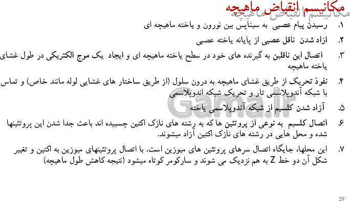پاورپوینت زیست شناسی (2) یازدهم رشته تجربی  | فصل سوم- دستگاه حرکتی (گفتار 1 و 2)- پیش نمایش
