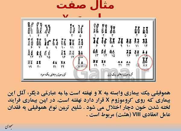پاورپوینت  وراثت صفات مستقل از جنس و وراثت صفت وابسته به X- پیش نمایش