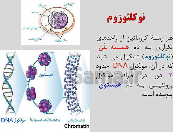 پاورپوینت زیست شناسی یازدهم | فصل 6: تقسیم یاخته- پیش نمایش