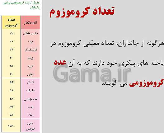 پاورپوینت زیست شناسی یازدهم | فصل 6: تقسیم یاخته- پیش نمایش