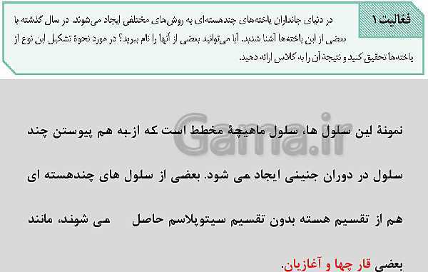 پاورپوینت زیست شناسی یازدهم | فصل 6: تقسیم یاخته- پیش نمایش