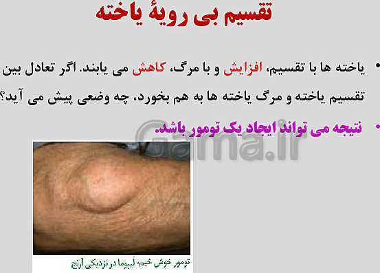 پاورپوینت زیست شناسی یازدهم | فصل 6: تقسیم یاخته- پیش نمایش