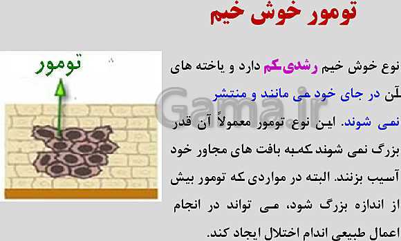 پاورپوینت زیست شناسی یازدهم | فصل 6: تقسیم یاخته- پیش نمایش