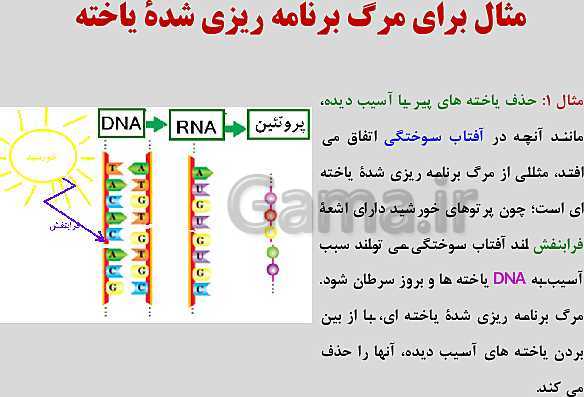 پاورپوینت زیست شناسی یازدهم | فصل 6: تقسیم یاخته- پیش نمایش