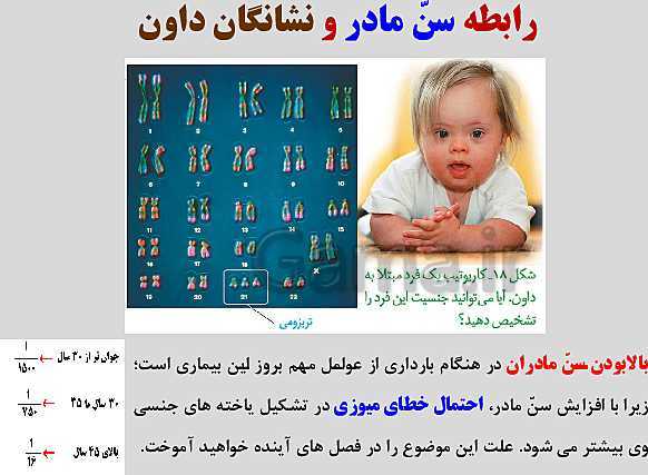 پاورپوینت زیست شناسی یازدهم | فصل 6: تقسیم یاخته- پیش نمایش