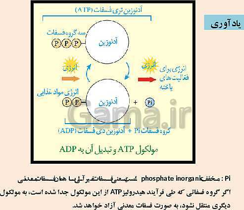 پاورپوینت زیست 3 | فصل 5: از ماده به انرژی | گفتار 1: تأمین انرژی- پیش نمایش
