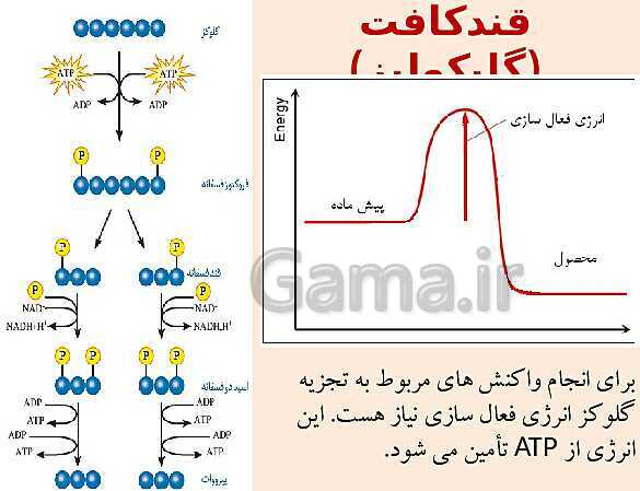 پاورپوینت زیست 3 | فصل 5: از ماده به انرژی | گفتار 1: تأمین انرژی- پیش نمایش