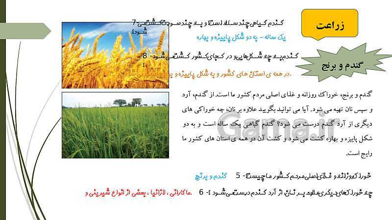 پاورپوینت آموزش درس 6: محصولات کشاورزی، از تولید تا مصرف- پیش نمایش