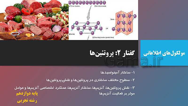 پاورپوینت تدریس زیست شناسی دوازدهم تجربی | فصل 1: مولکول های اطلاعاتی | گفتار 3: پروتئین‌ها- پیش نمایش