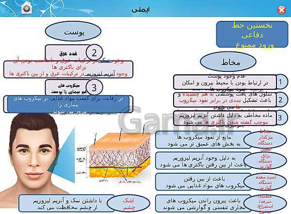 پاورپوینت تدریس زیست شناسی (2) یازدهم تجربی | فصل 5: ایمنی (گفتار 1 و 2)- پیش نمایش