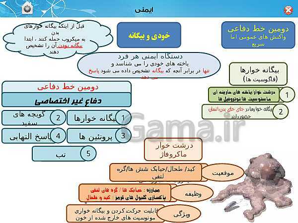 پاورپوینت تدریس زیست شناسی (2) یازدهم تجربی | فصل 5: ایمنی (گفتار 1 و 2)- پیش نمایش