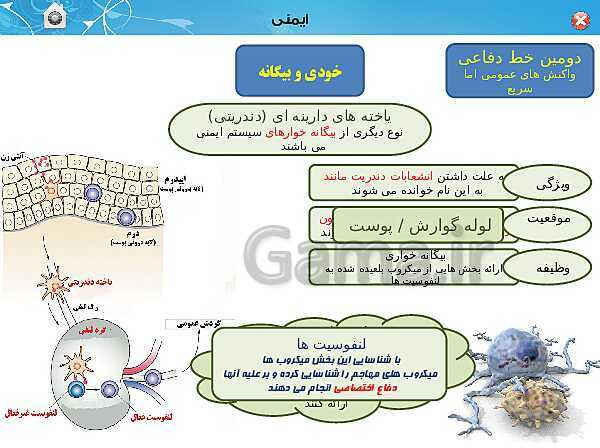 پاورپوینت تدریس زیست شناسی (2) یازدهم تجربی | فصل 5: ایمنی (گفتار 1 و 2)- پیش نمایش