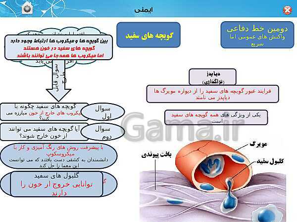 پاورپوینت تدریس زیست شناسی (2) یازدهم تجربی | فصل 5: ایمنی (گفتار 1 و 2)- پیش نمایش