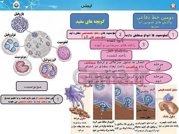 پاورپوینت تدریس زیست شناسی (2) یازدهم تجربی | فصل 5: ایمنی (گفتار 1 و 2)- پیش نمایش