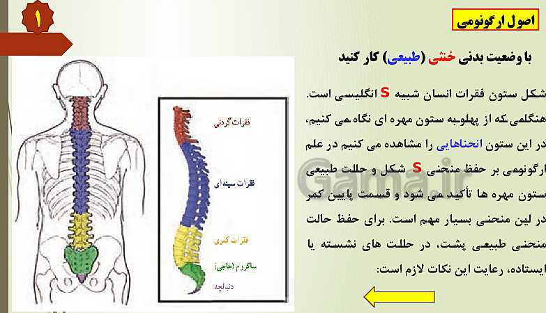 پاورپوینت آموزش سلامت و بهداشت دوازدهم | درس 13: پیشگیری از اختلالات اسکلتی  عضلانی (کمر درد)- پیش نمایش