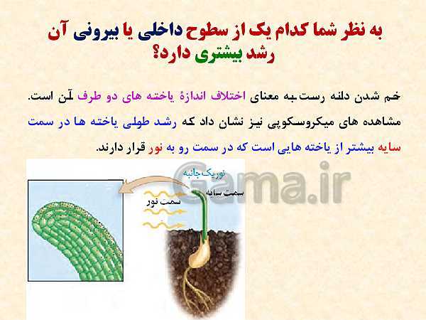 پاورپوینت زیست شناسی (2) یازدهم تجربی | فصل 9: پاسخ گیاهان به محرک‌ها (گفتار 1 و 2 )- پیش نمایش
