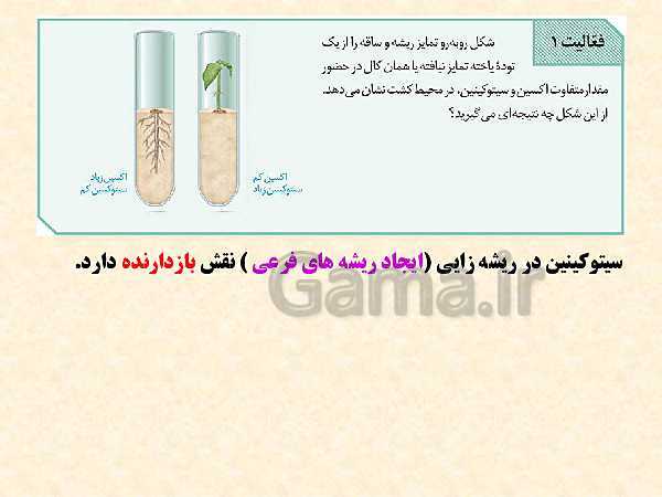 پاورپوینت زیست شناسی (2) یازدهم تجربی | فصل 9: پاسخ گیاهان به محرک‌ها (گفتار 1 و 2 )- پیش نمایش