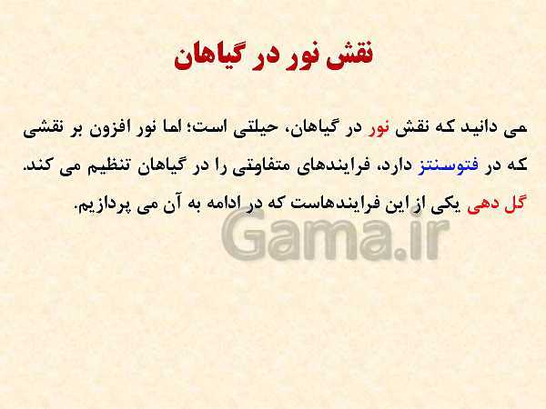 پاورپوینت زیست شناسی (2) یازدهم تجربی | فصل 9: پاسخ گیاهان به محرک‌ها (گفتار 1 و 2 )- پیش نمایش