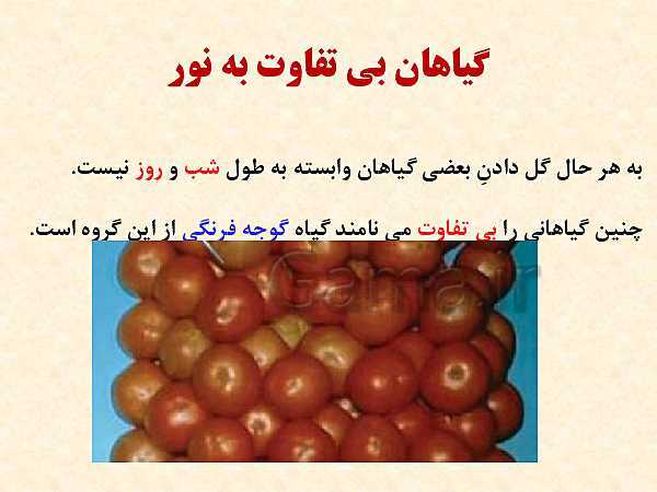 پاورپوینت زیست شناسی (2) یازدهم تجربی | فصل 9: پاسخ گیاهان به محرک‌ها (گفتار 1 و 2 )- پیش نمایش