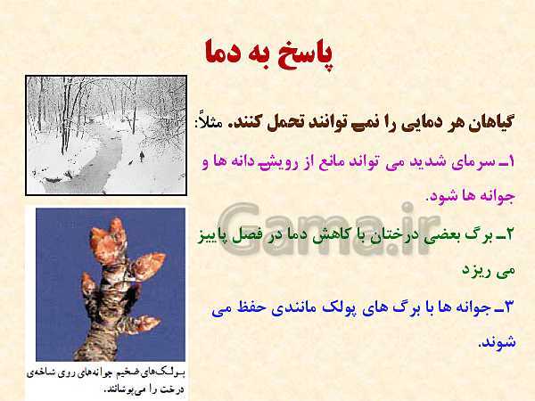 پاورپوینت زیست شناسی (2) یازدهم تجربی | فصل 9: پاسخ گیاهان به محرک‌ها (گفتار 1 و 2 )- پیش نمایش