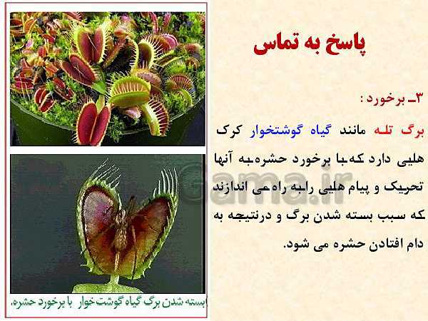 پاورپوینت زیست شناسی (2) یازدهم تجربی | فصل 9: پاسخ گیاهان به محرک‌ها (گفتار 1 و 2 )- پیش نمایش