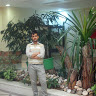 Mohammad Mehdi Hooshmand