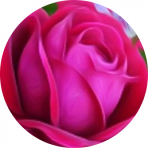 زهره محمدزاده