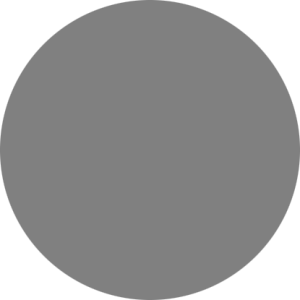 فاطمه  رحیمی