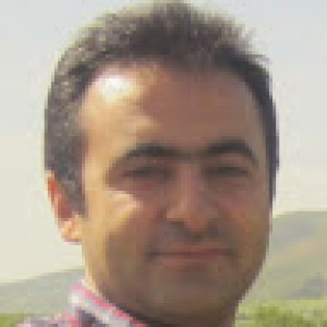 Hossain Ghaffari