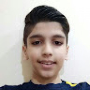 محمد بهزادی