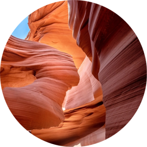 مانی روزبهی