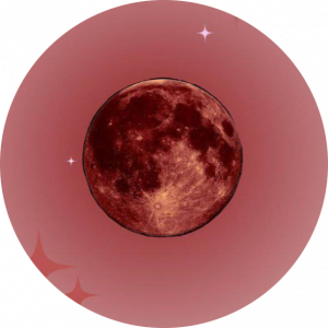 الینا جوادی