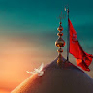 امیر علی افضلی