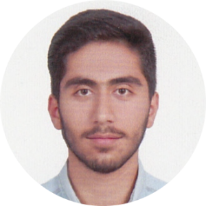 سید محمدامین چاوشی