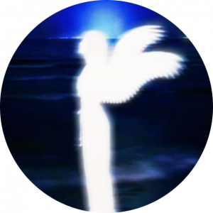 نازنین شج