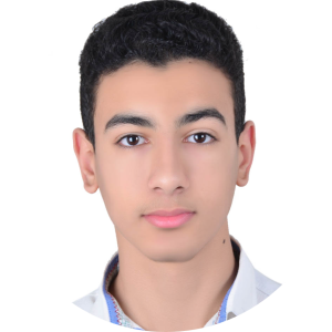 سید علی موسوی