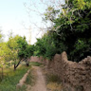 مهران یاردل
