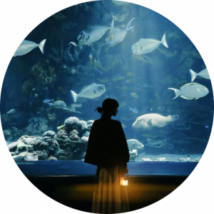 The thalassophile
