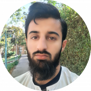 محمد ميرلاشارى