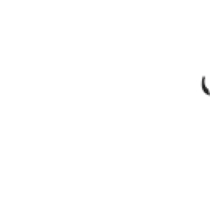 حانیه  بصیرانی 