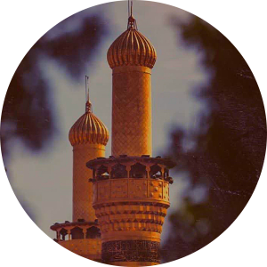 گل  نرگس