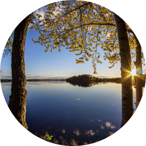 محمد صادق مالوکی