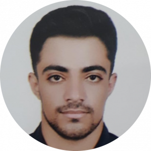 سید حسین موسوی